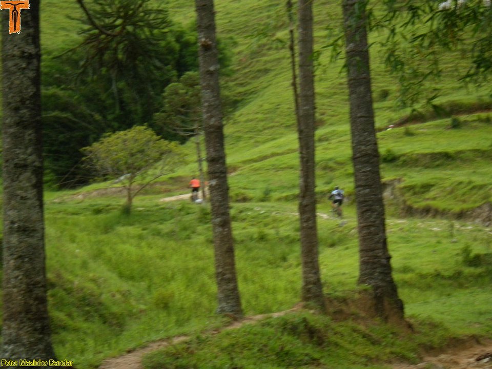 IMGP196