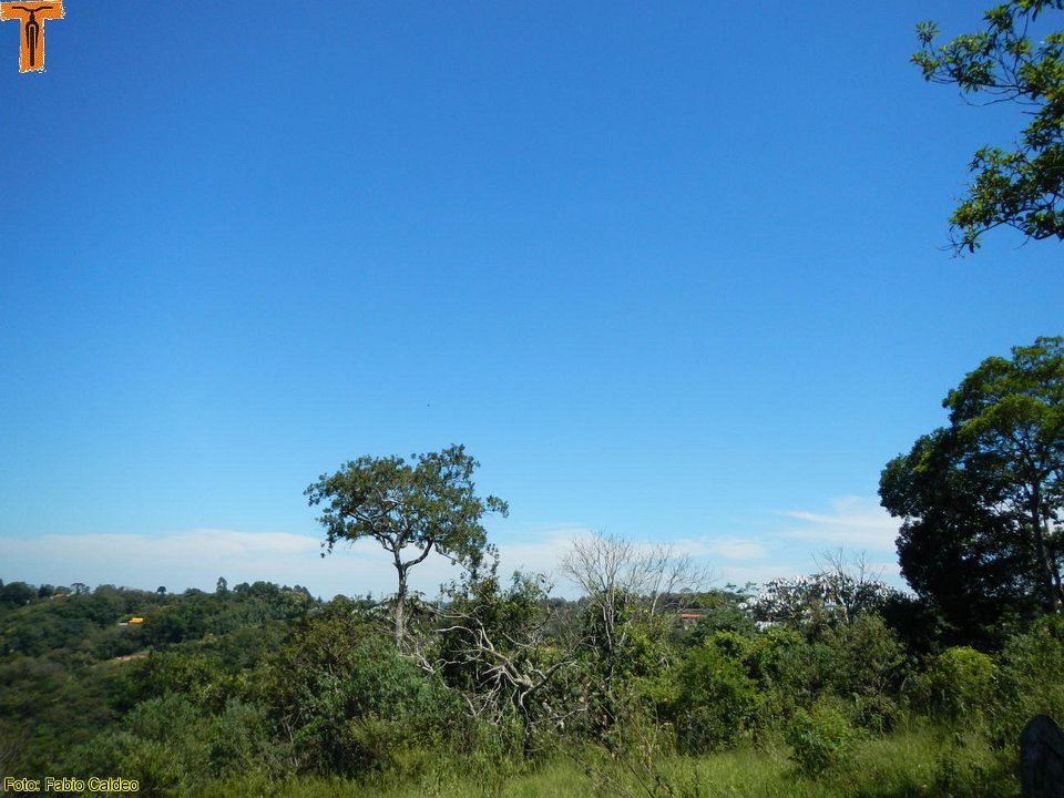 DSCN5053