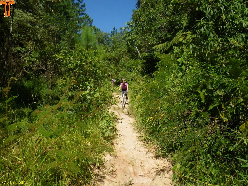 IMGP0470