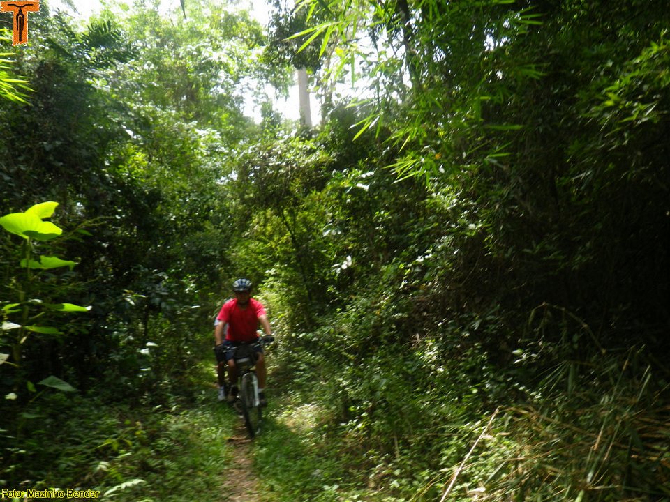IMGP0794