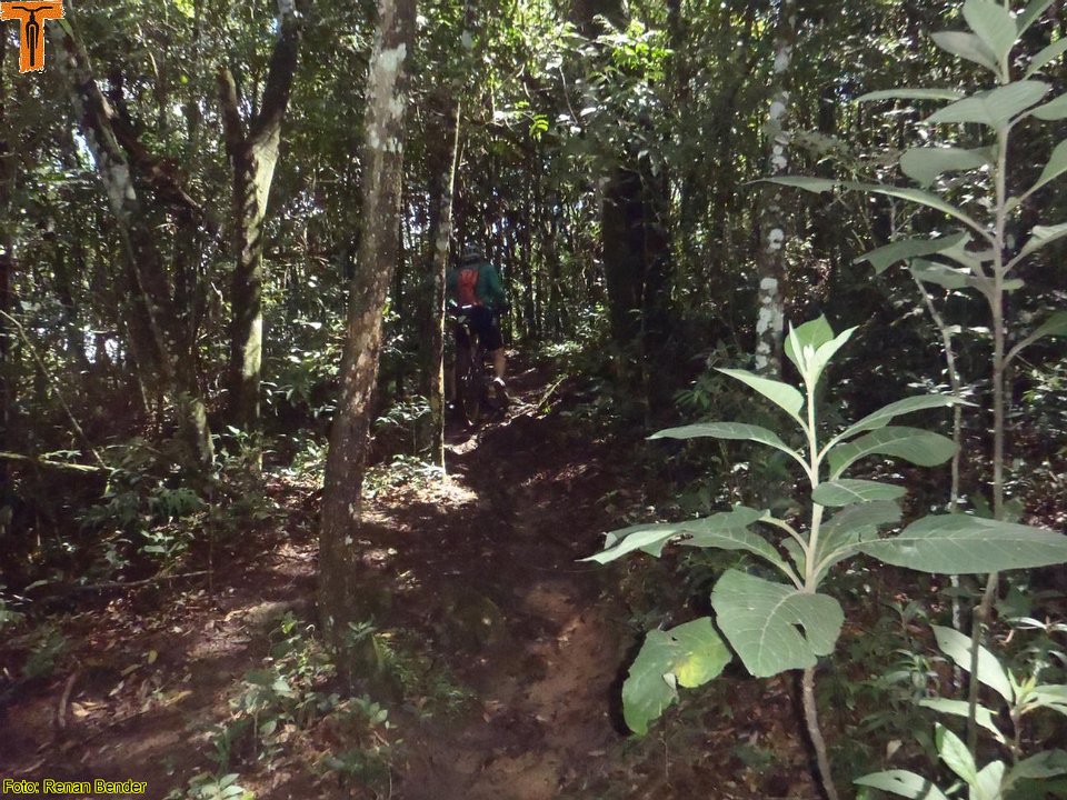 P3010016