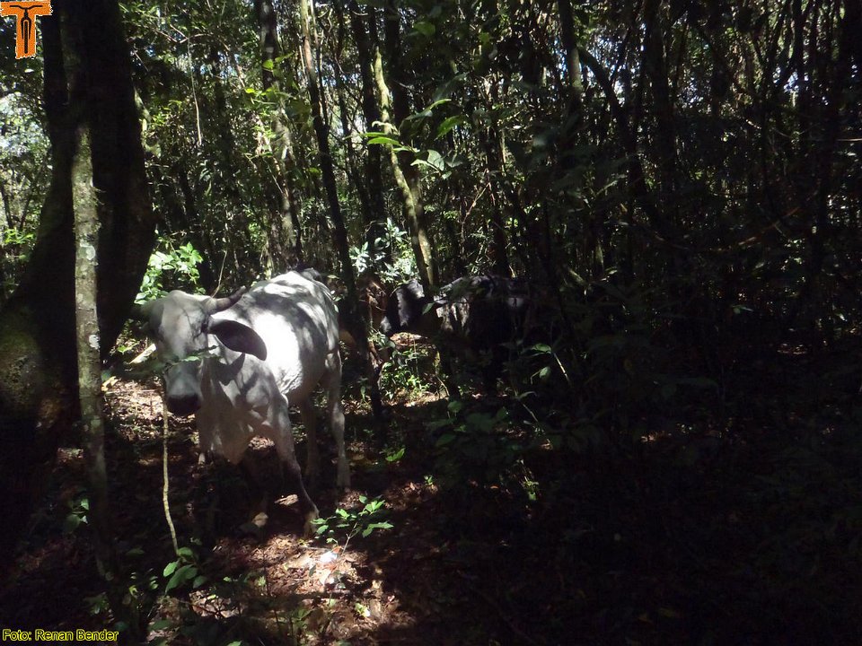 P3010018