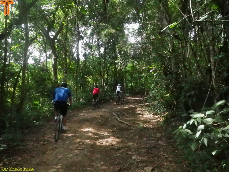 IMGP0909