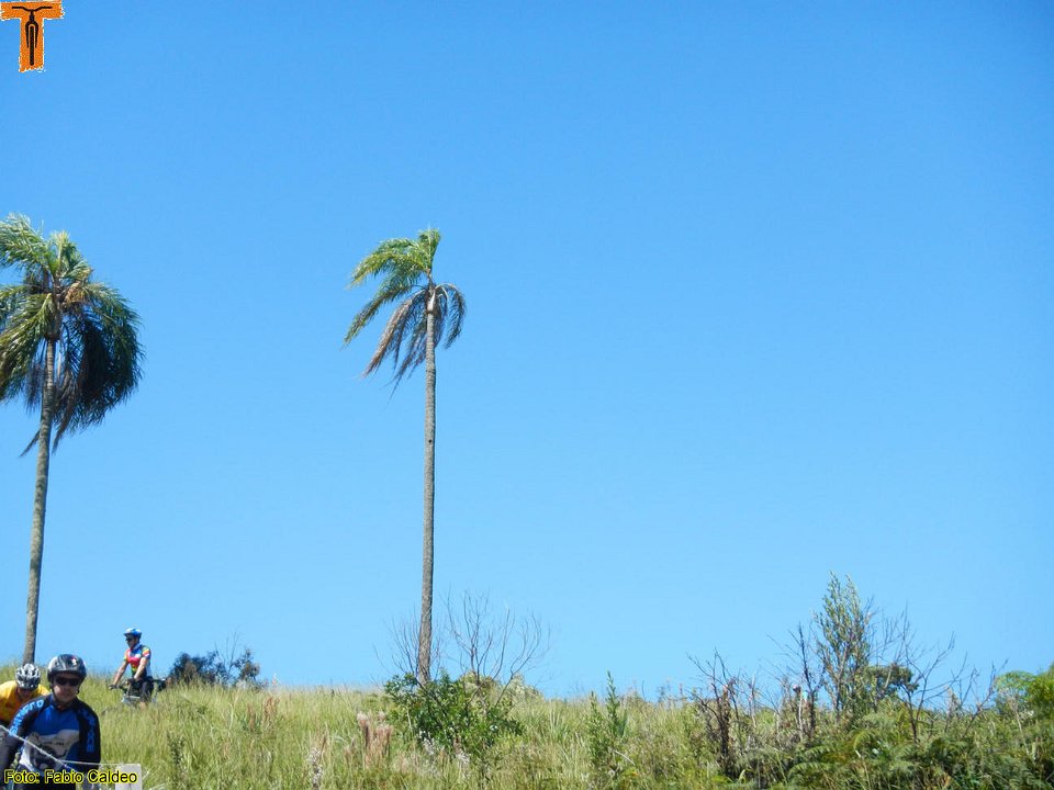 DSCN5240