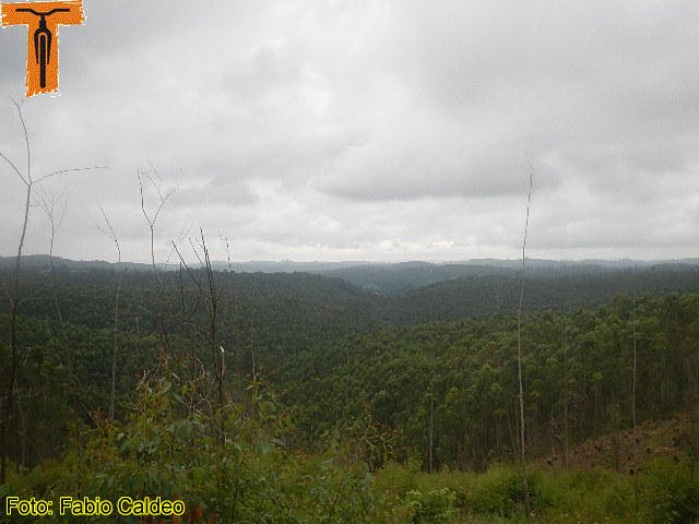 DSCN5335