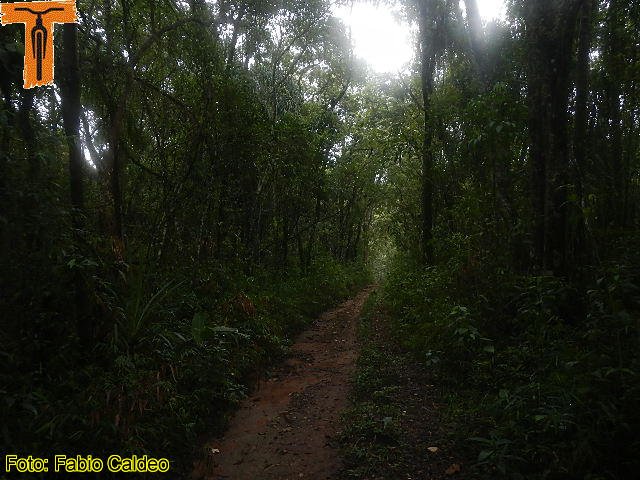 DSCN5338