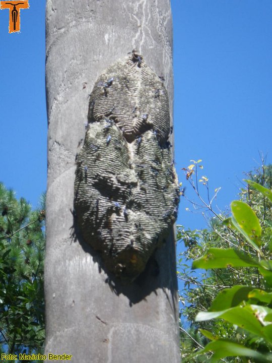 IMGP1726