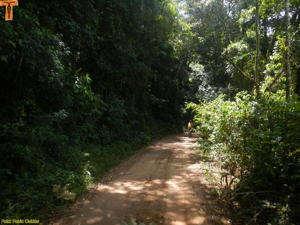 DSCN5571