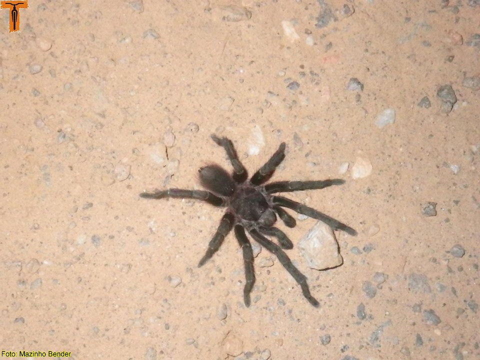IMGP1801