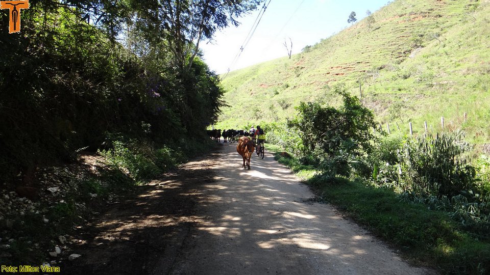 DSC00943