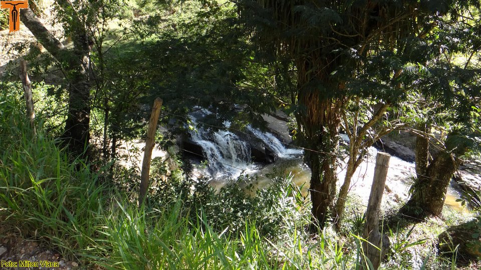 DSC01005