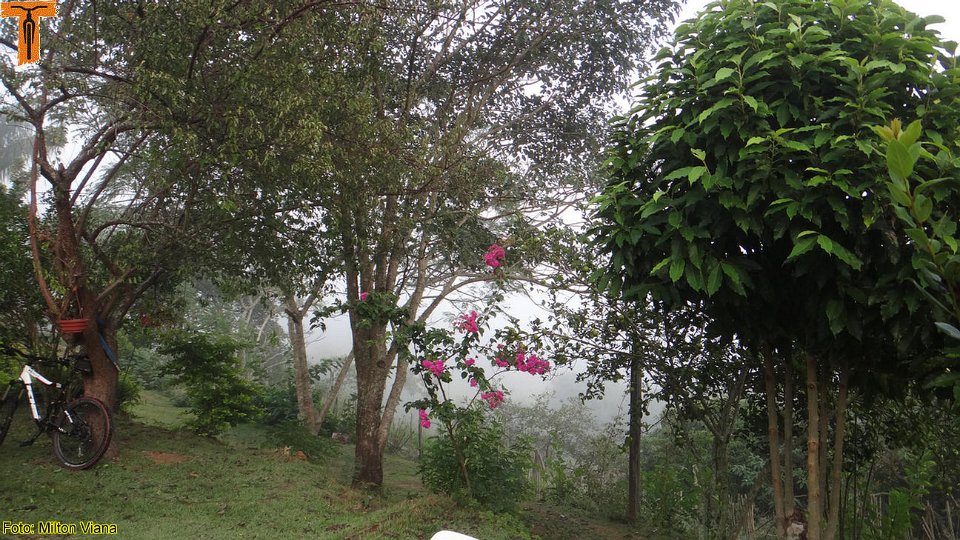 DSC01035