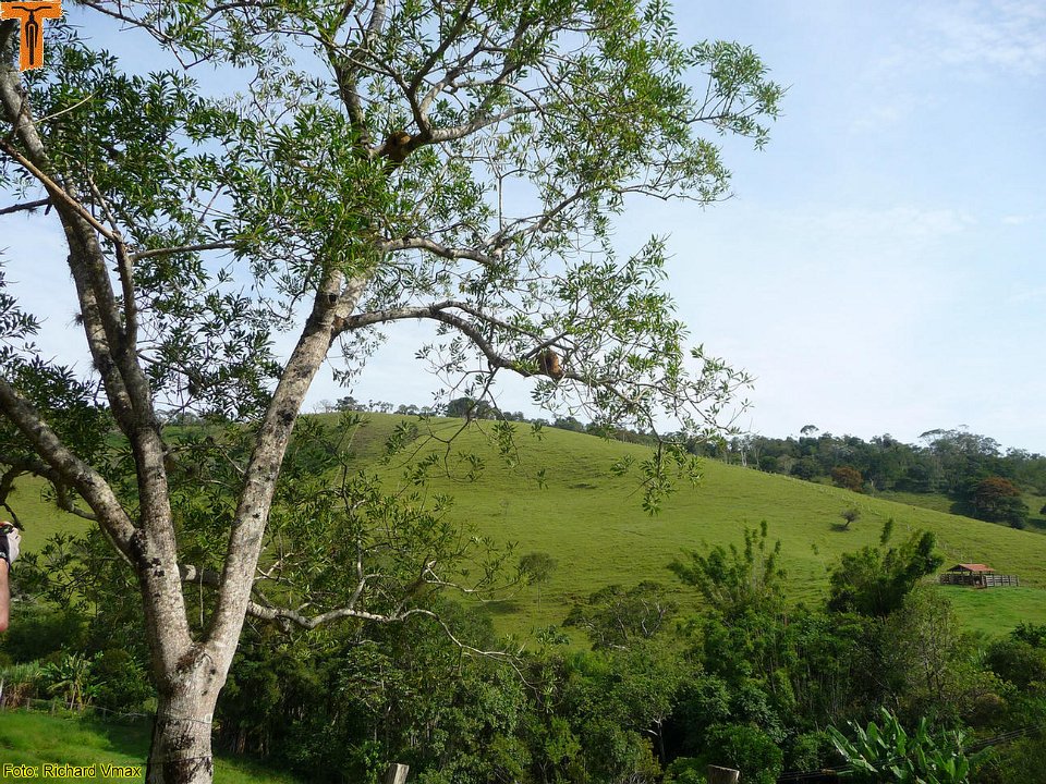 P1130734
