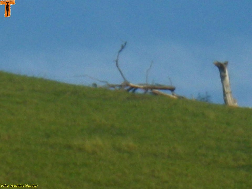 IMGP2119