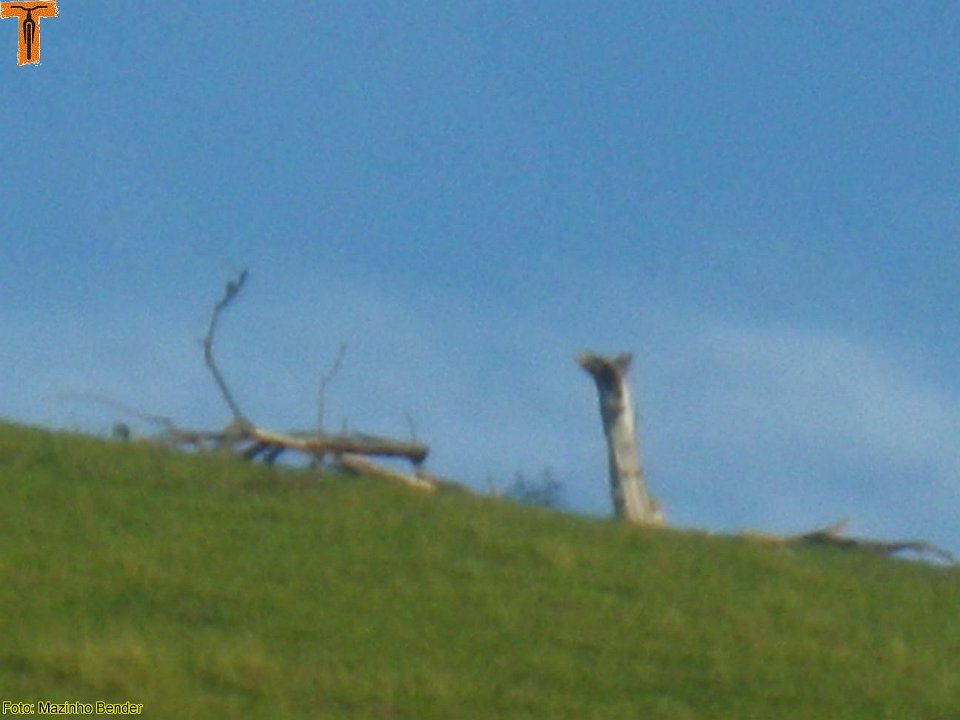 IMGP2120