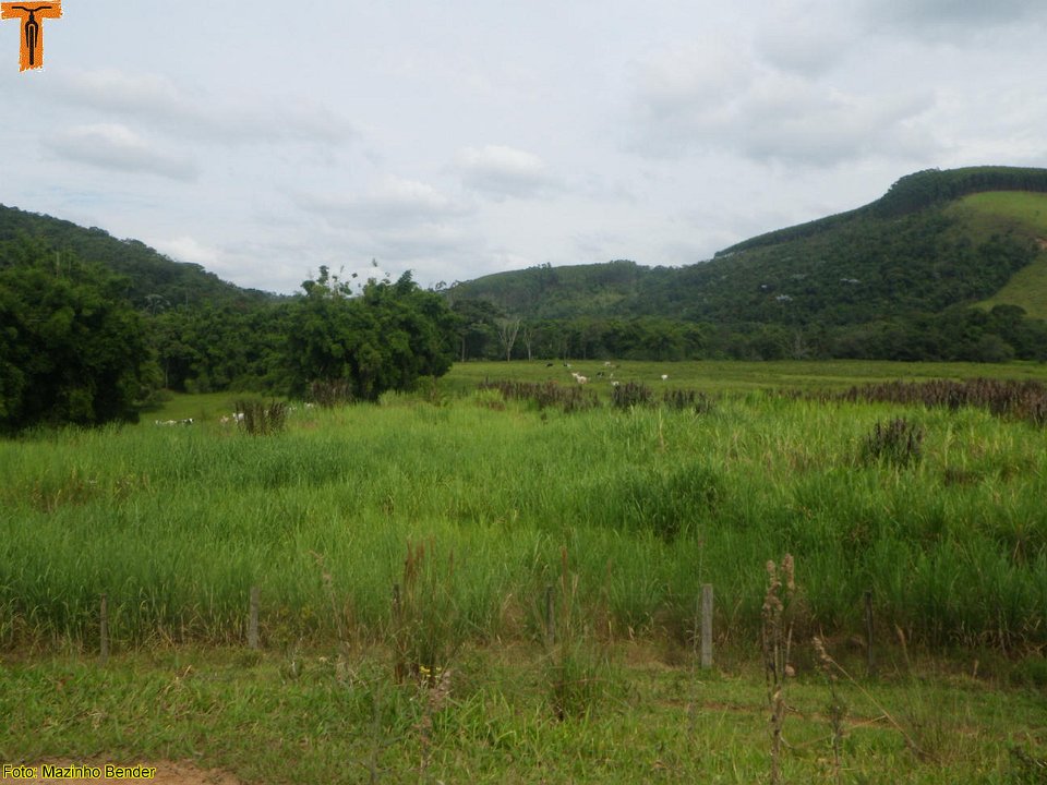 IMGP2164