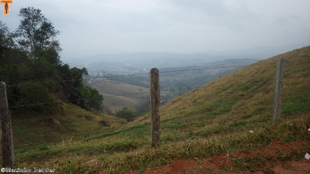 RIMG0689