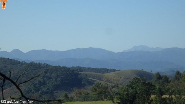 RIMG0816