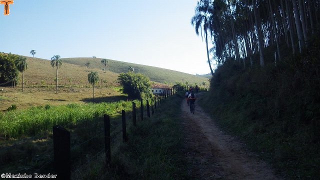 RIMG0825