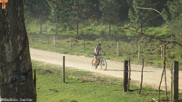 RIMG0847