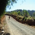 RIMG0734