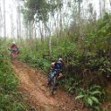 RIMG2875