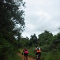 RIMG2909