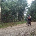 RIMG3126