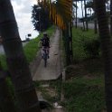 RIMG3617