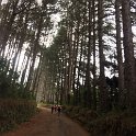 IMG-20170527-WA0065