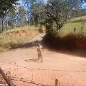 IMG-20170715-WA0015