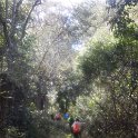 IMG-20170715-WA0022