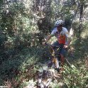 IMG-20170715-WA0023