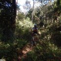 IMG-20170715-WA0026