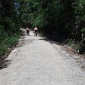 IMG-20171029-WA0024