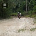 RIMG6526