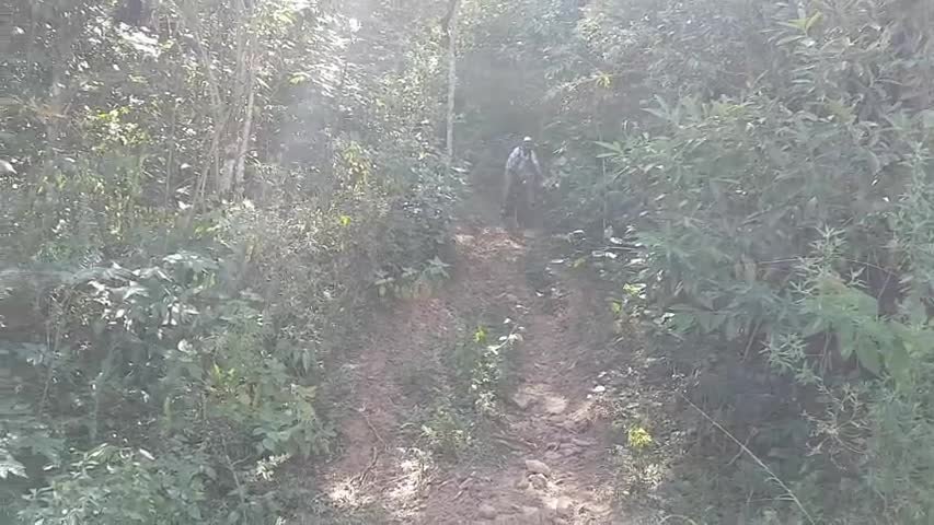 20180501 110742