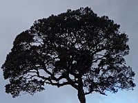 20180429 114350