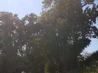 20180501 100248