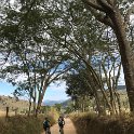 IMG-20180624-WA0063