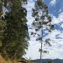 IMG-20180624-WA0094