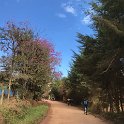 IMG-20180624-WA0102