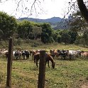 IMG-20180624-WA0249