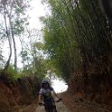 RIMG8499