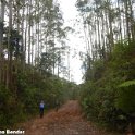 IMG-20181021-WA0032