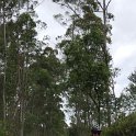 IMG-20181021-WA0108