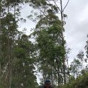 IMG-20181021-WA0109