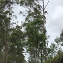 IMG-20181021-WA0110