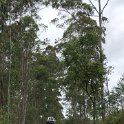 IMG-20181021-WA0126