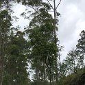 IMG-20181021-WA0127